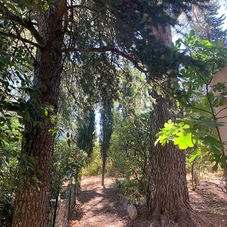 Mas Provencal Piscine 16 Personnes Proche Centre De فيلة *
